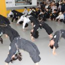 태극합기도 이미지