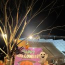 오봉로 10번길 | 산내캠핑일기 대구 근교 신상 추천 캠핑장