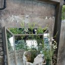 이철 농장 이미지