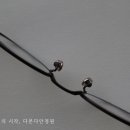 다본다안경 이미지