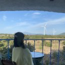 파인씨앤피 | [국내여행/제주도] 봄제주 셋째날 🌸