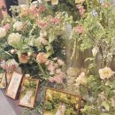 지구와 손잡기 | 25년 11월 라붐웨딩홀 본식후기