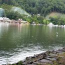 힐링나라 이미지