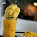 카페 강