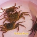 캠핑포유캠핑장 이미지