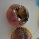 농수산길 | 포항 문덕 신규오픈 오천농수산센터, 오천식자재센터 후기