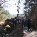 진산군이유령묘 네이버블로그