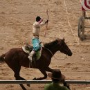 더마파크 이미지