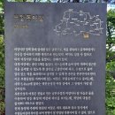 국녕사 - 1074 | 국녕사 동양 최대 좌불 만나러 의상능선을 걷다.