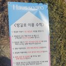 용신농장 | 대구 근교 성주 대형 브런치 카페 '하우스소서'