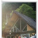 세쌍둥이네 풀꽃세상 이미지