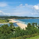 파도반점 이미지