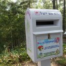 자작나무 조형물 이미지