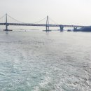 뉴코스모스호 1 이미지