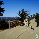 순수목장 이미지