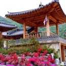 바위솔펜션 이미지