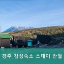 경주감성숙소 스테이 반월 이미지