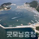 신진비디오 이미지