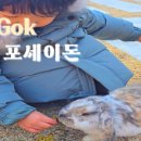 칠곡 수영장 이미지