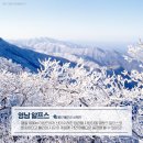 대경목장 | 대경대학교 홍보기자단이 알려주는 국내 언택트 여행지 BEST 4!