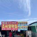 우봉포차