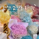 중앙꽃집 | 안산 중앙역 꽃집 플라웜 내돈내산 후기 어버이날 기념일 첫인사 꽃다발 선물 추천