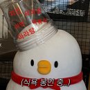 스포데이 이미지