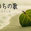 생명의 노래 이미지