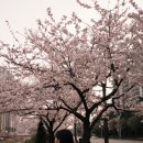 4月