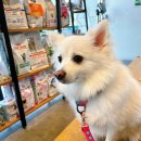 송정동물의료센터 이미지