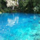 지구촌 수영장 이미지