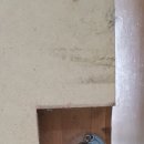 부산국제중학교 이미지