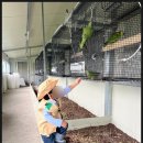 교동농장 이미지