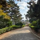 중문오렌지파크 이미지