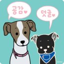 기억하개 | 부산 독캣맘 기억하개 이벵 당첨 선물이 왔어요~