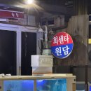 제주 원담 <b>제주</b>시 고등어회 <b>제주</b> <b>원담</b> 예약 주차 팁, 웨이팅 맛집