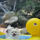 광덕계곡관광지 이미지