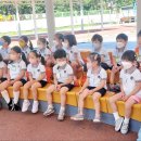 비산성모유치원 이미지