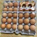 재동2 | 남촌농산물도매시장 과일동, 채소동, 식자재동 방문 후기