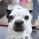 여기라면