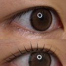 예솔커피 | 청주 쫑쫑 속눈썹펌 잘하는 곳 "드솔" I 충북대 근처 재방문 솔직후기G͜͡o͜͡o͜͡d͜͡ੈ💗𓈒𓏸