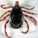 오늘의 역사(6월 21일) 이미지