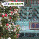 진주 응석사 목조석가여래삼불좌상 | 경남 진주 부처님 오신 날 가기 좋은 사찰 추천 BEST5