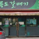오륙도갈매기