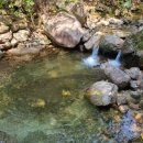 山川에서 이미지