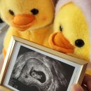 빈앤준산부인과의원 | 임신 9주차 증상 하혈 출혈 피비침 🩸🥲