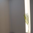 서울역마음정신건강의학과의원 | 서울역정신과 서울역안녕정신건강의학과의원