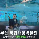국립해양박물관 | 부산 영도 국립해양박물관 후기｜조카 따라갔다가 아쿠아리움에 더 놀랐던 부산 실내 가볼 만한 곳