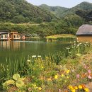 개나리낚시공원 이미지