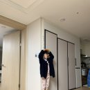 성일사세탁 네이버블로그